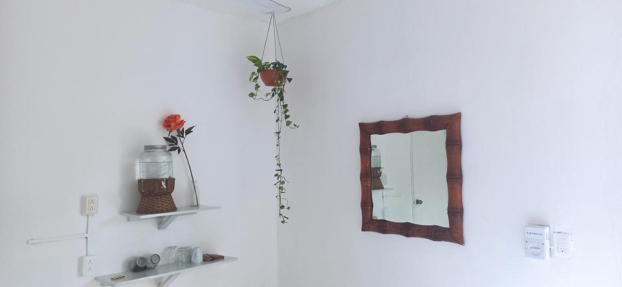 Casa Arte Bacalarアパートメント 部屋 写真