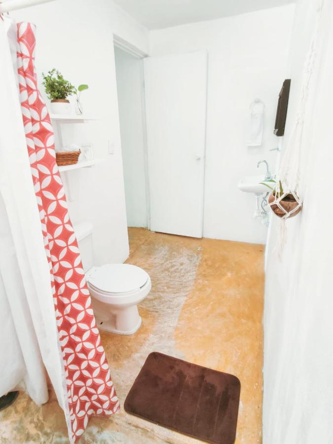 Casa Arte Bacalarアパートメント エクステリア 写真