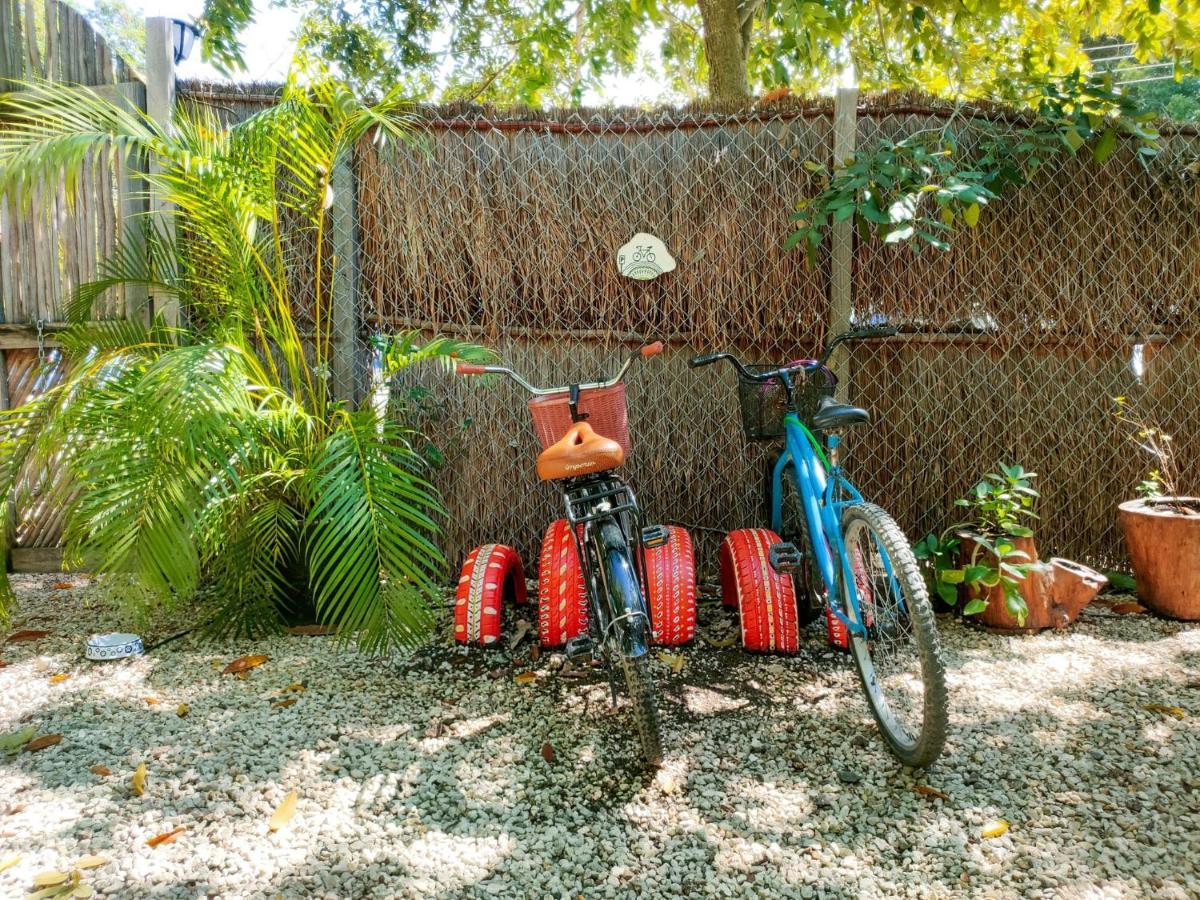 Casa Arte Bacalarアパートメント エクステリア 写真
