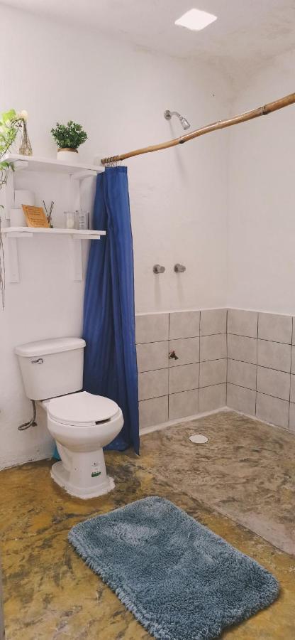 Casa Arte Bacalarアパートメント エクステリア 写真